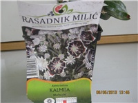 3d31d9a3-Marica auto 239.jpg